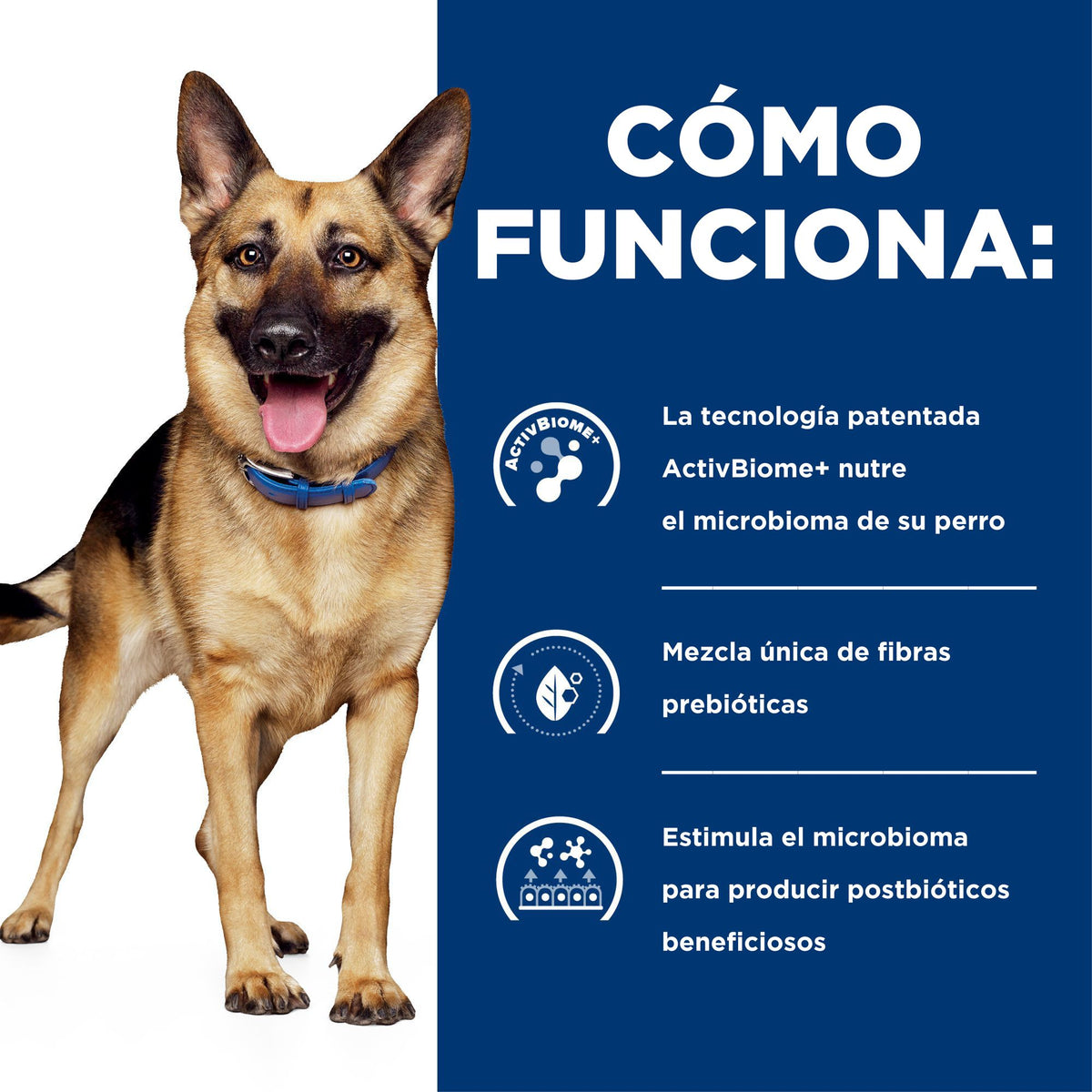Hill's Prescription Diet Gastrointestinal Biome estofado para perros · cómo funciona