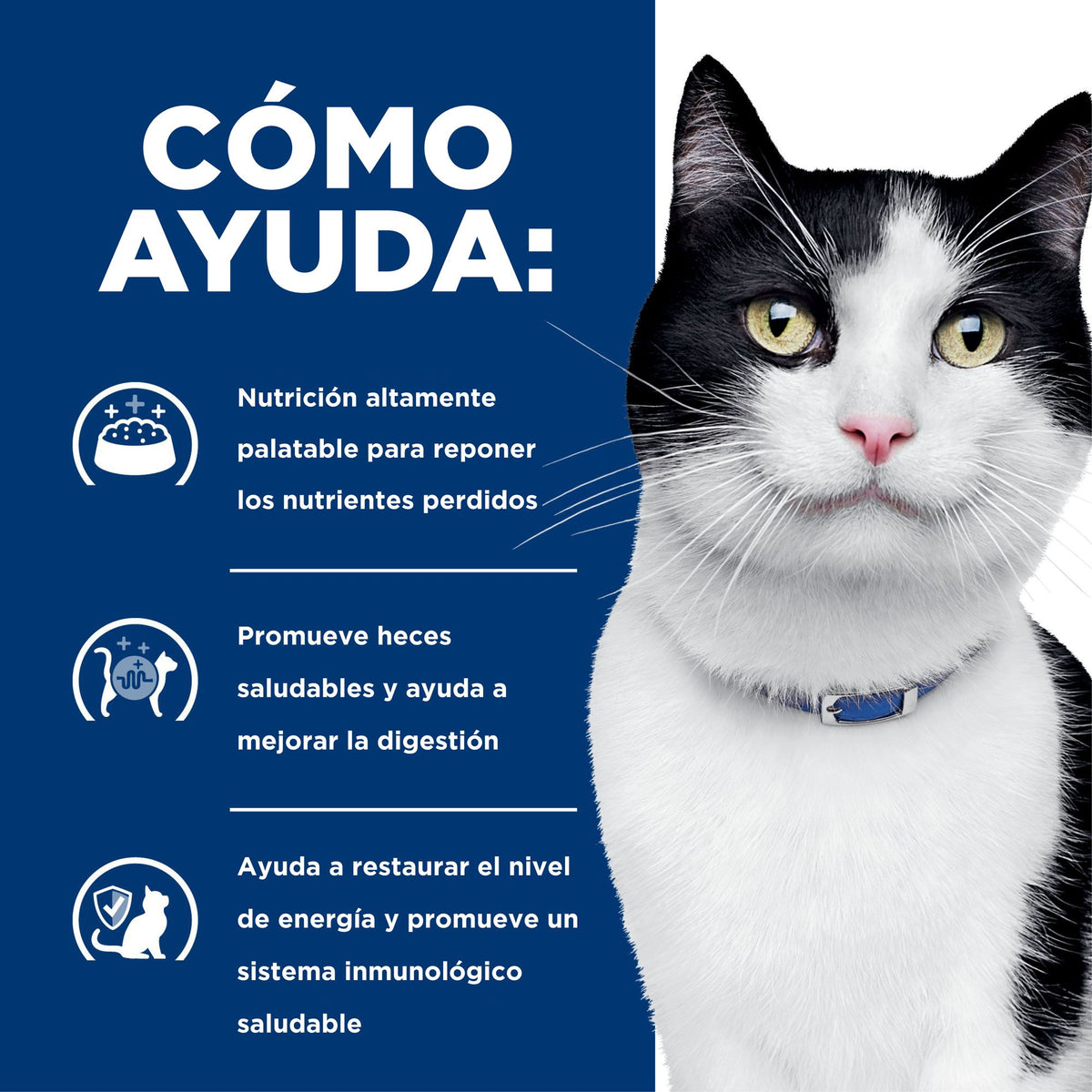 Hill's Prescription Diet i/d Digestive Care alimento húmedo para gatos con pollo · cómo ayuda