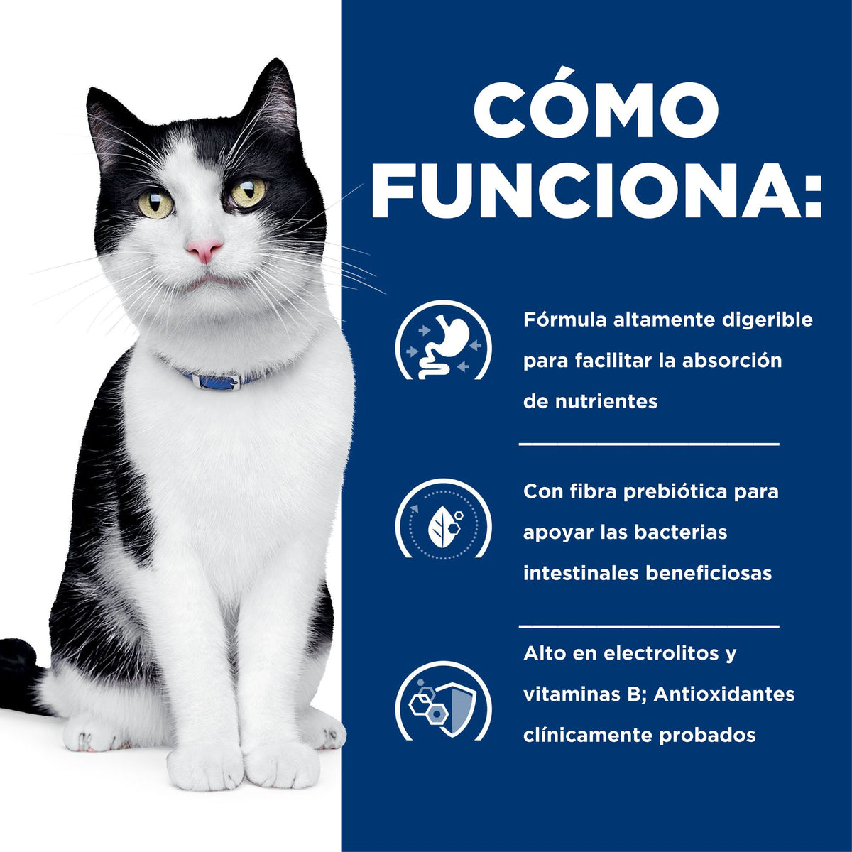 Hill's Prescription Diet i/d Digestive Care alimento húmedo para gatos con pollo · cómo funciona