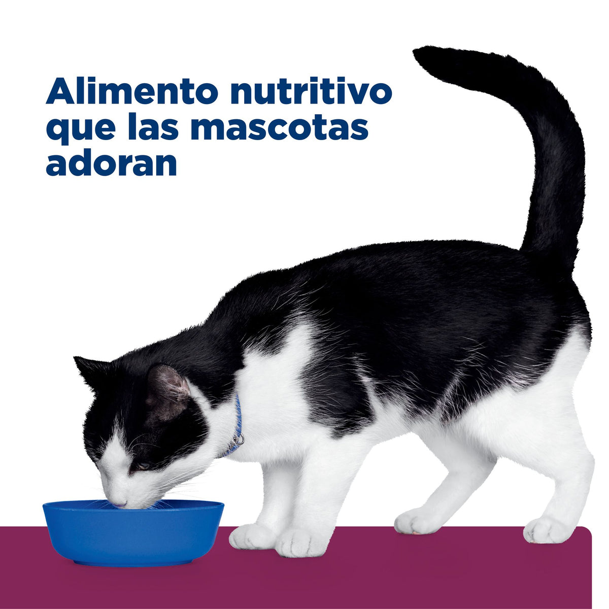 Hill's Prescription Diet i/d Digestive Care alimento húmedo para gatos con pollo · en uso