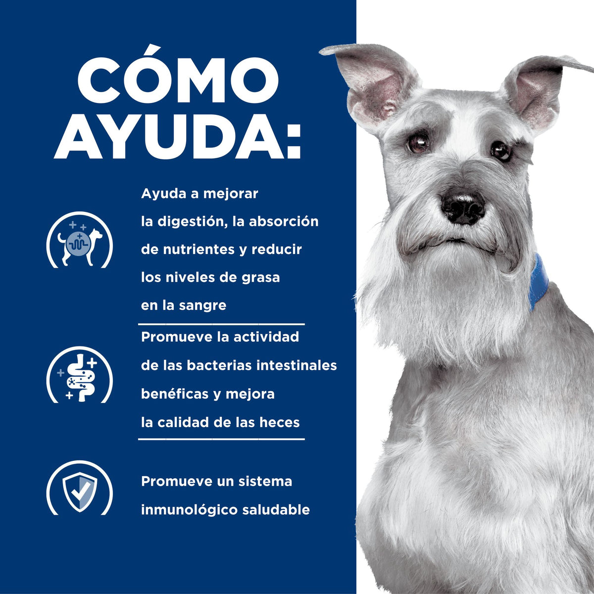 Hill's Prescription Diet i/d Low Fat alimento húmedo para perros · cómo ayuda