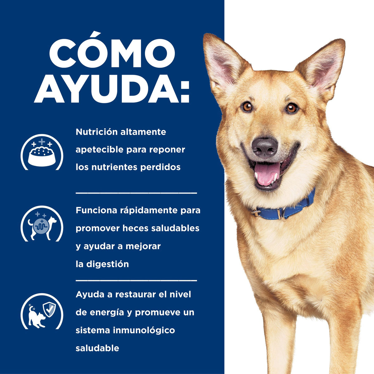Hill's Prescription Diet i/d Digestive Care estofado de pollo y vegetales para perros · cómo ayuda