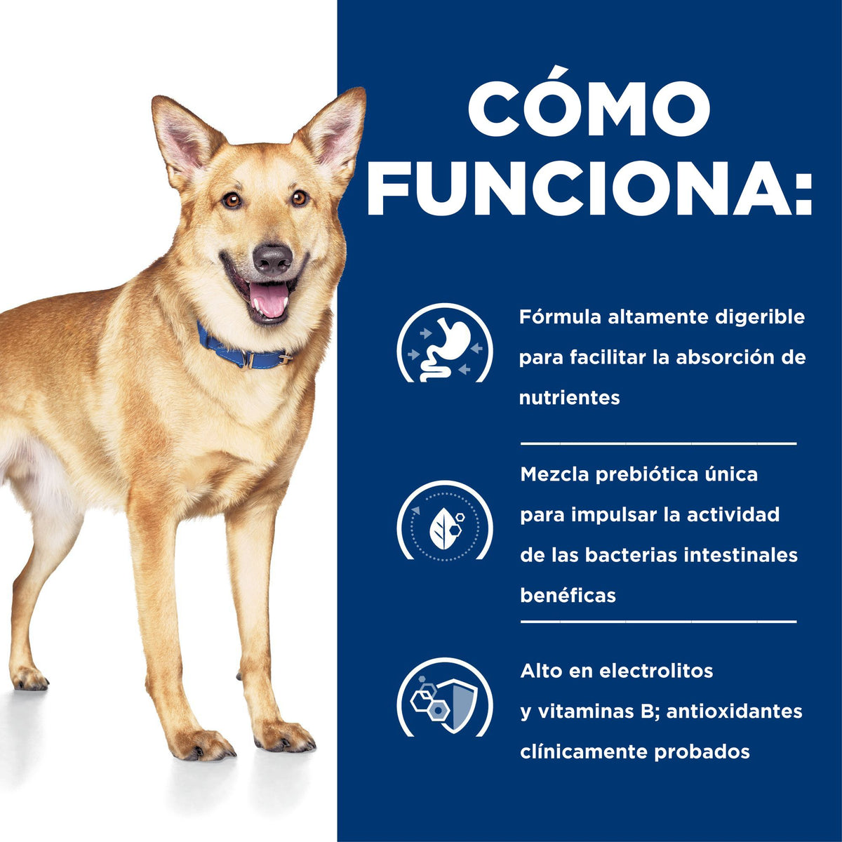 Hill's Prescription Diet i/d Digestive Care estofado de pollo y vegetales para perros · cómo funciona