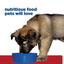 Hill's Prescription Diet i/d Puppy alimento húmedo para cachorros con pavo · en uso