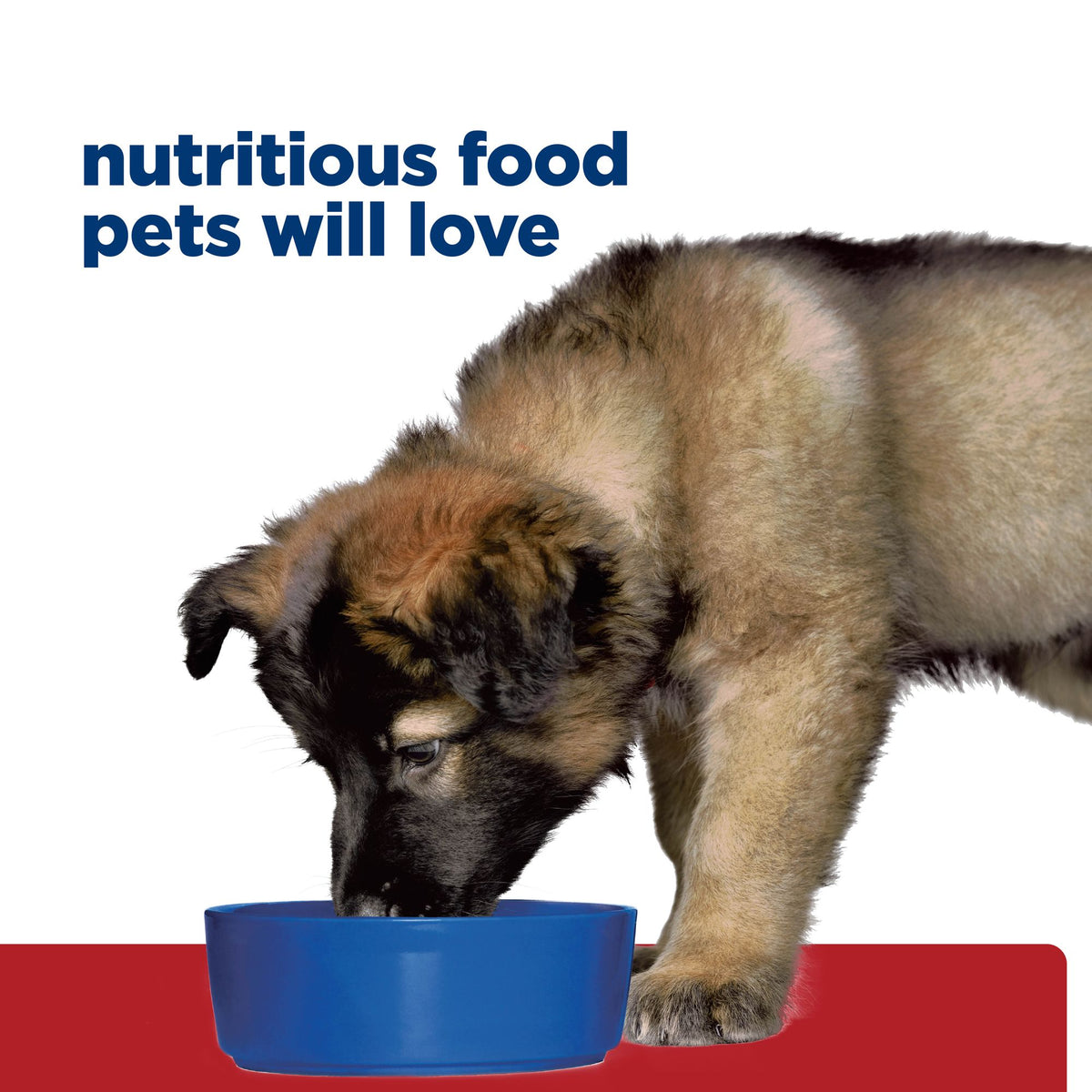 Hill's Prescription Diet i/d Puppy alimento húmedo para cachorros con pavo · en uso