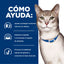 Hill's Prescription Diet k/d Kidney Care alimento húmedo para gatos · cómo ayuda
