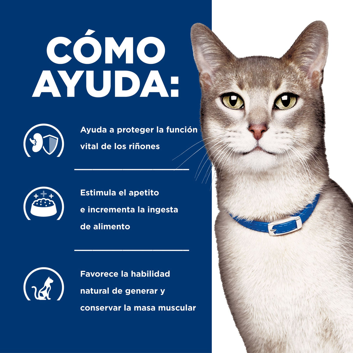 Hill's Prescription Diet k/d Kidney Care alimento húmedo para gatos · cómo ayuda