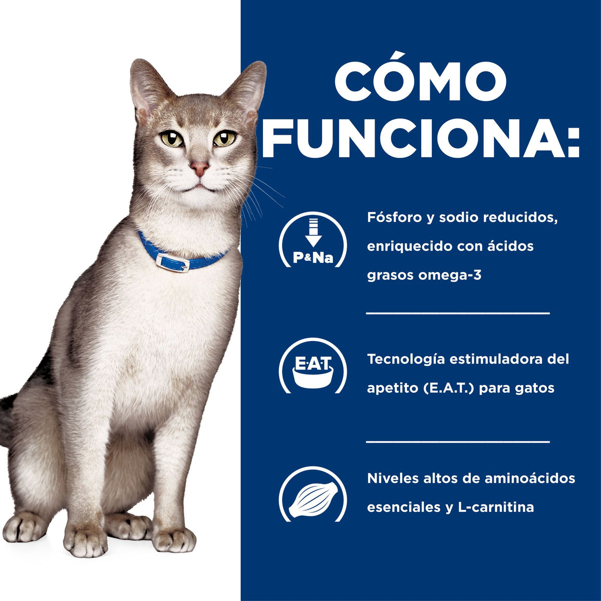 Hill's Prescription Diet k/d Kidney Care alimento húmedo para gatos · cómo funciona