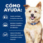 Hill's Prescription Diet k/d Kidney Care alimento húmedo para perros · cómo ayuda