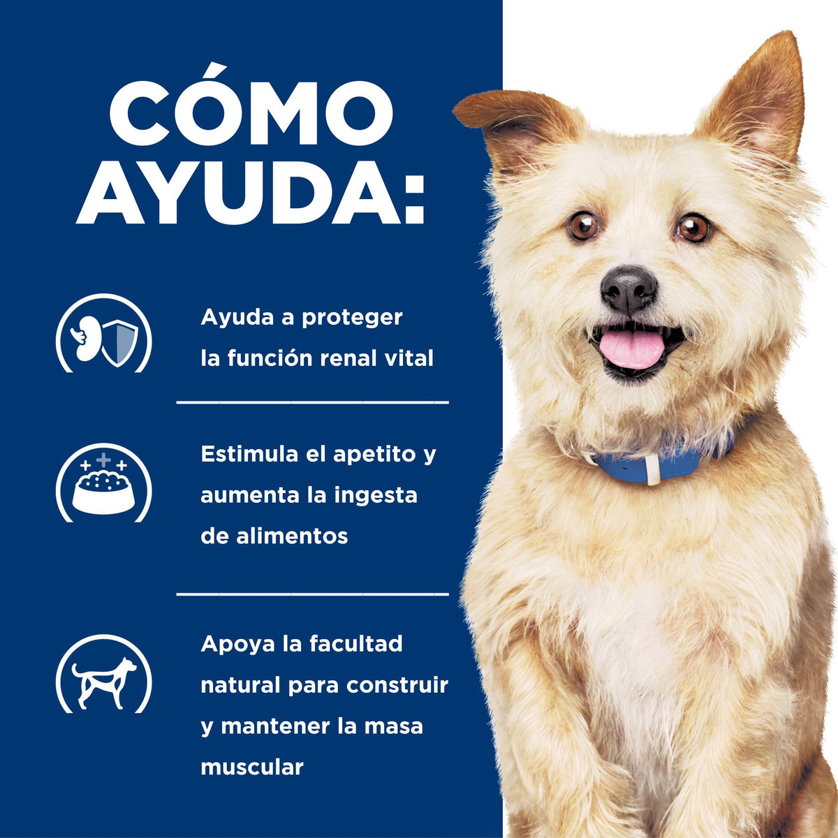 Hill's Prescription Diet k/d Kidney Care alimento húmedo para perros · cómo ayuda