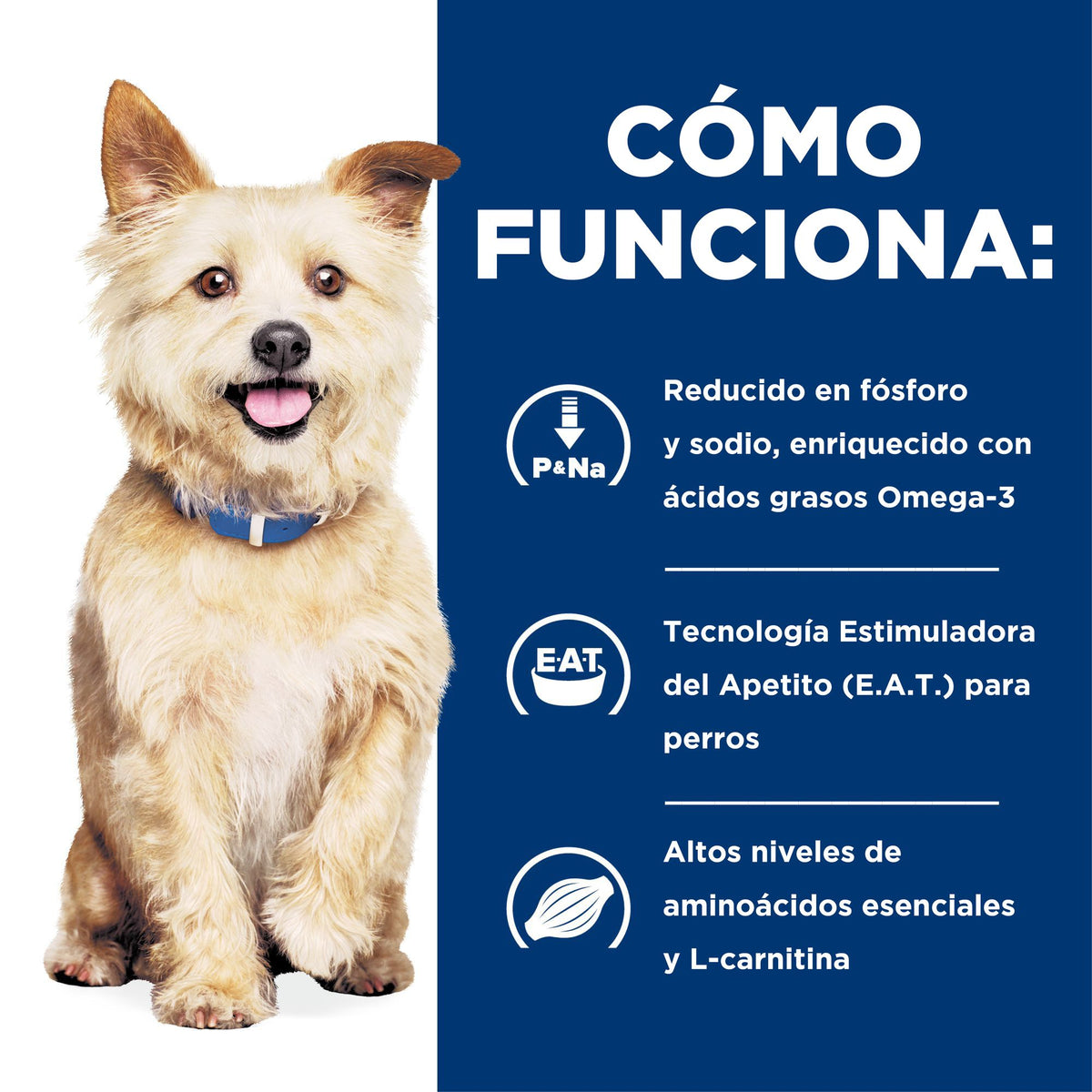 Hill's Prescription Diet k/d Kidney Care alimento húmedo para perros · cómo funciona