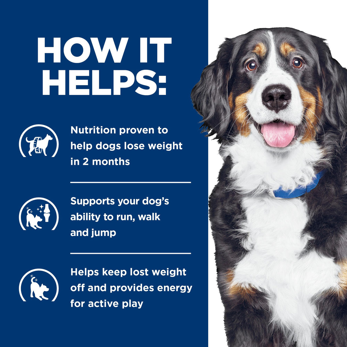 Hill's Prescription Diet Metabolic + Mobility estofado para perros · cómo ayuda