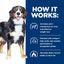 Hill's Prescription Diet Metabolic + Mobility estofado para perros · cómo funciona