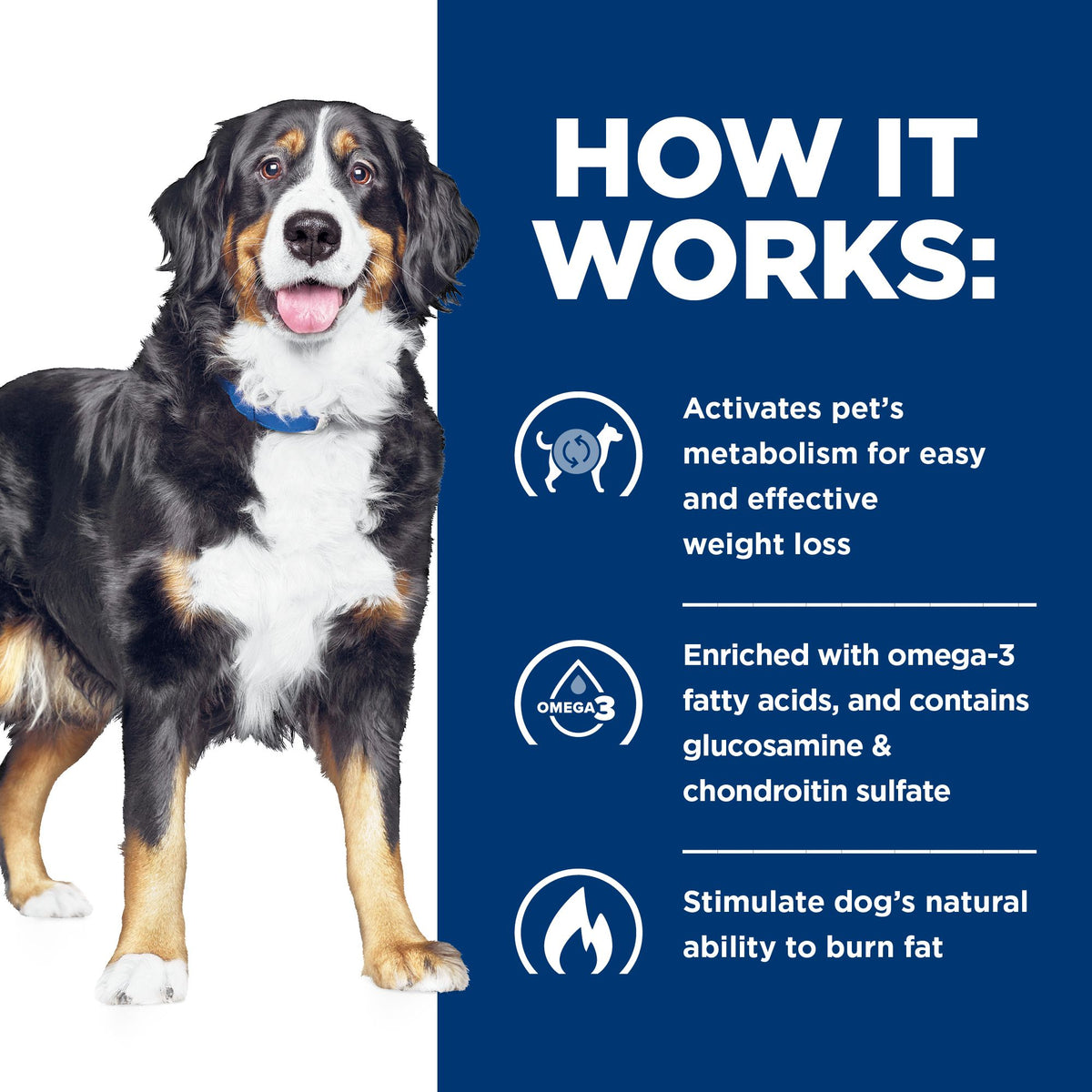 Hill's Prescription Diet Metabolic + Mobility estofado para perros · cómo funciona