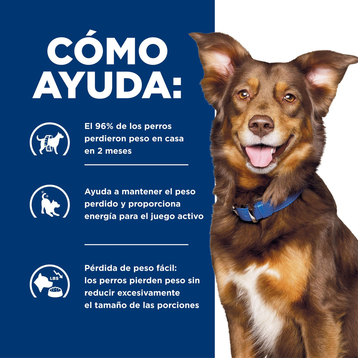 Hill's Prescription Diet Metabolic alimento húmedo para perros · cómo ayuda