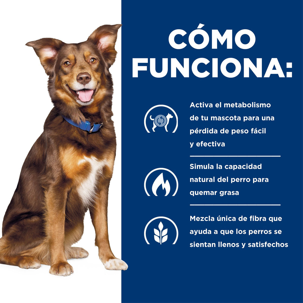 Hill's Prescription Diet Metabolic alimento húmedo para perros · cómo funciona
