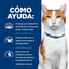 Hill's Prescription Diet ONC Care alimento húmedo para gatos · cómo ayuda