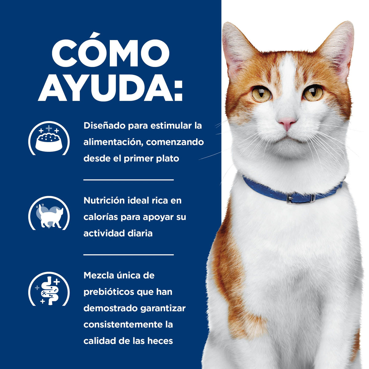 Hill's Prescription Diet ONC Care alimento húmedo para gatos · cómo ayuda