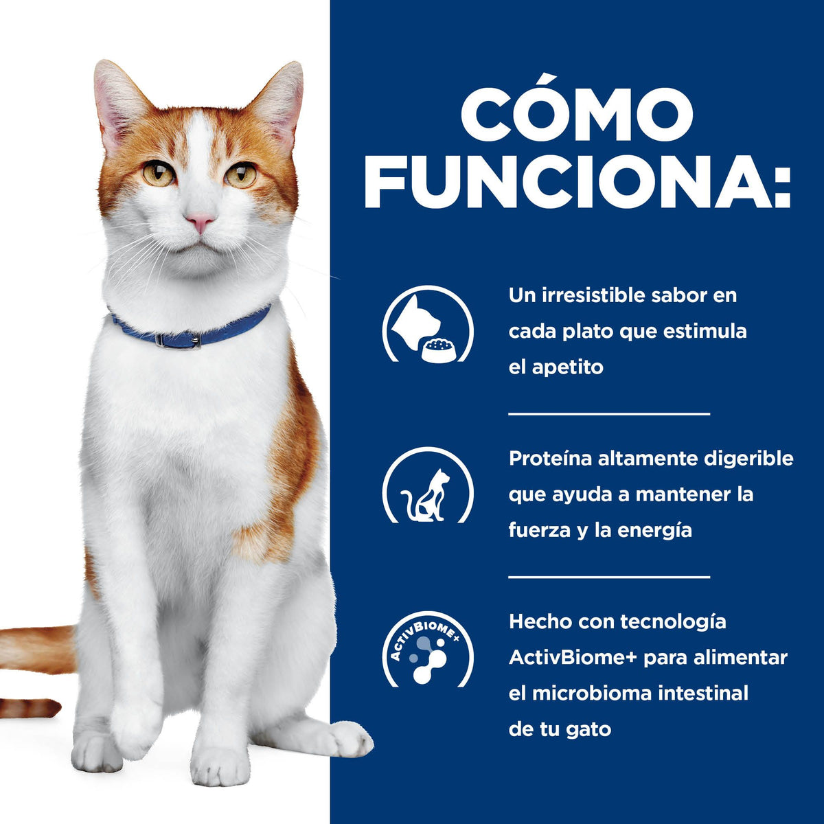 Hill's Prescription Diet ONC Care alimento húmedo para gatos · cómo funciona