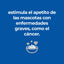 Hill's Prescription Diet ONC Care estofado para perros · beneficio principal