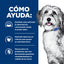 Hill's Prescription Diet ONC Care estofado para perros · cómo ayuda