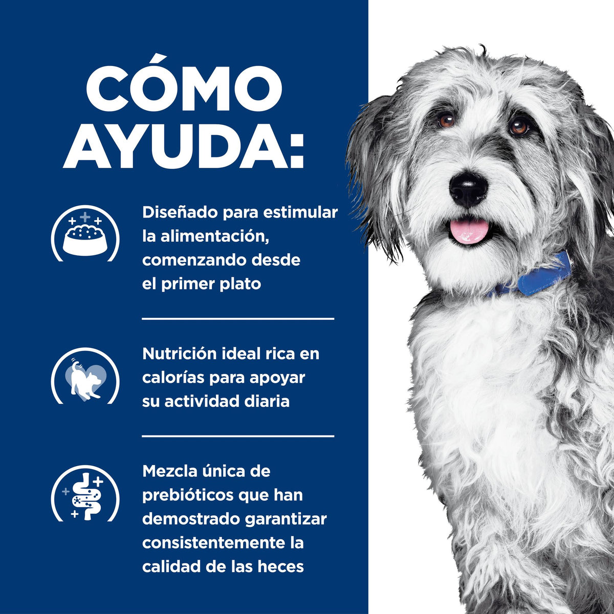 Hill's Prescription Diet ONC Care estofado para perros · cómo ayuda