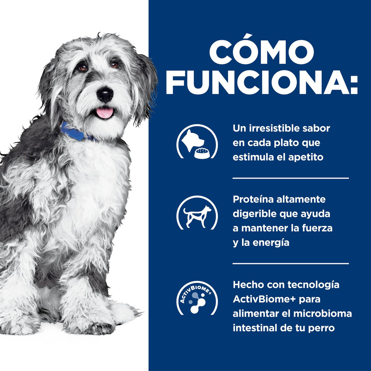 Hill's Prescription Diet ONC Care estofado para perros · cómo funciona