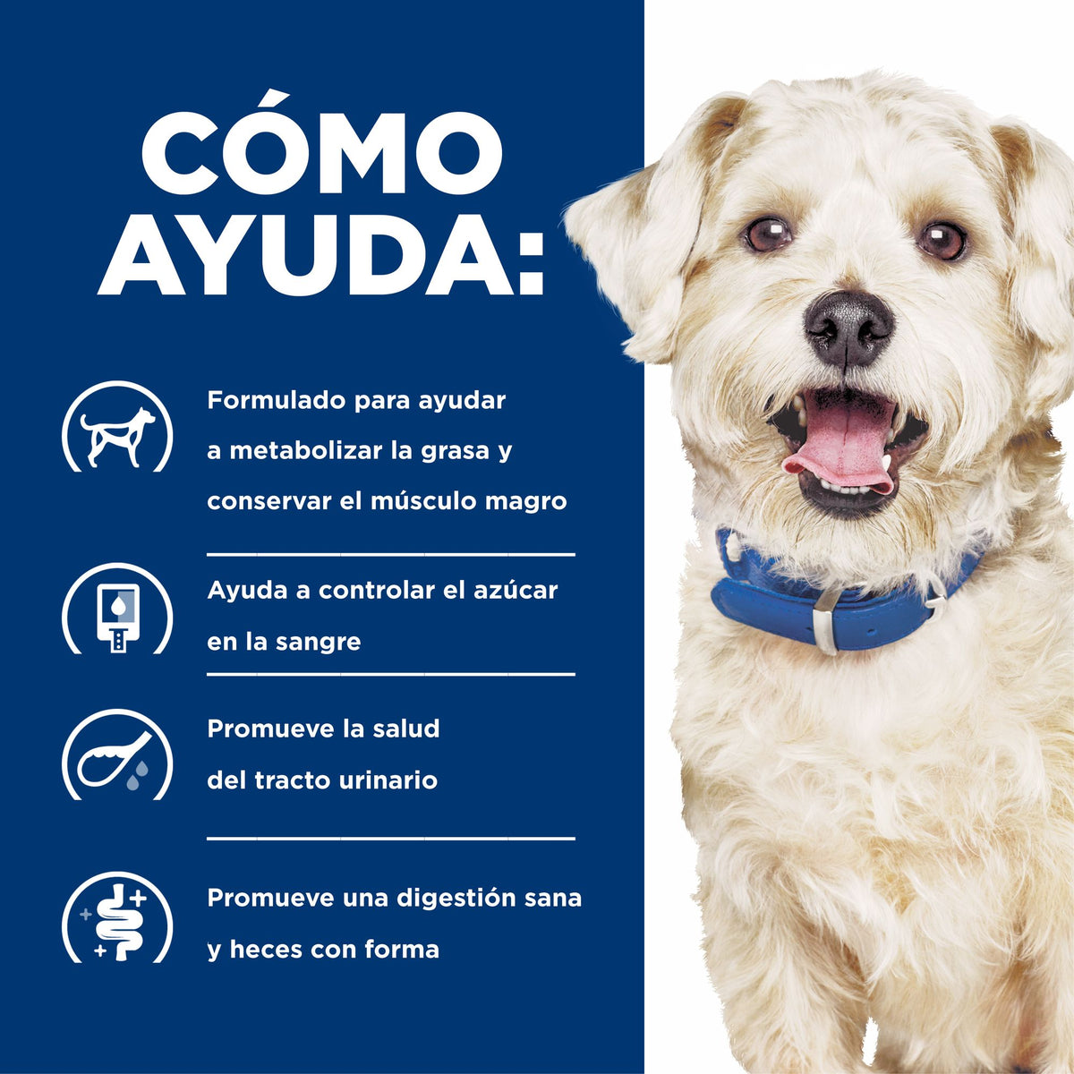 Hill's Prescription Diet w/d Multi-Benefit alimento húmedo para perros · cómo ayuda