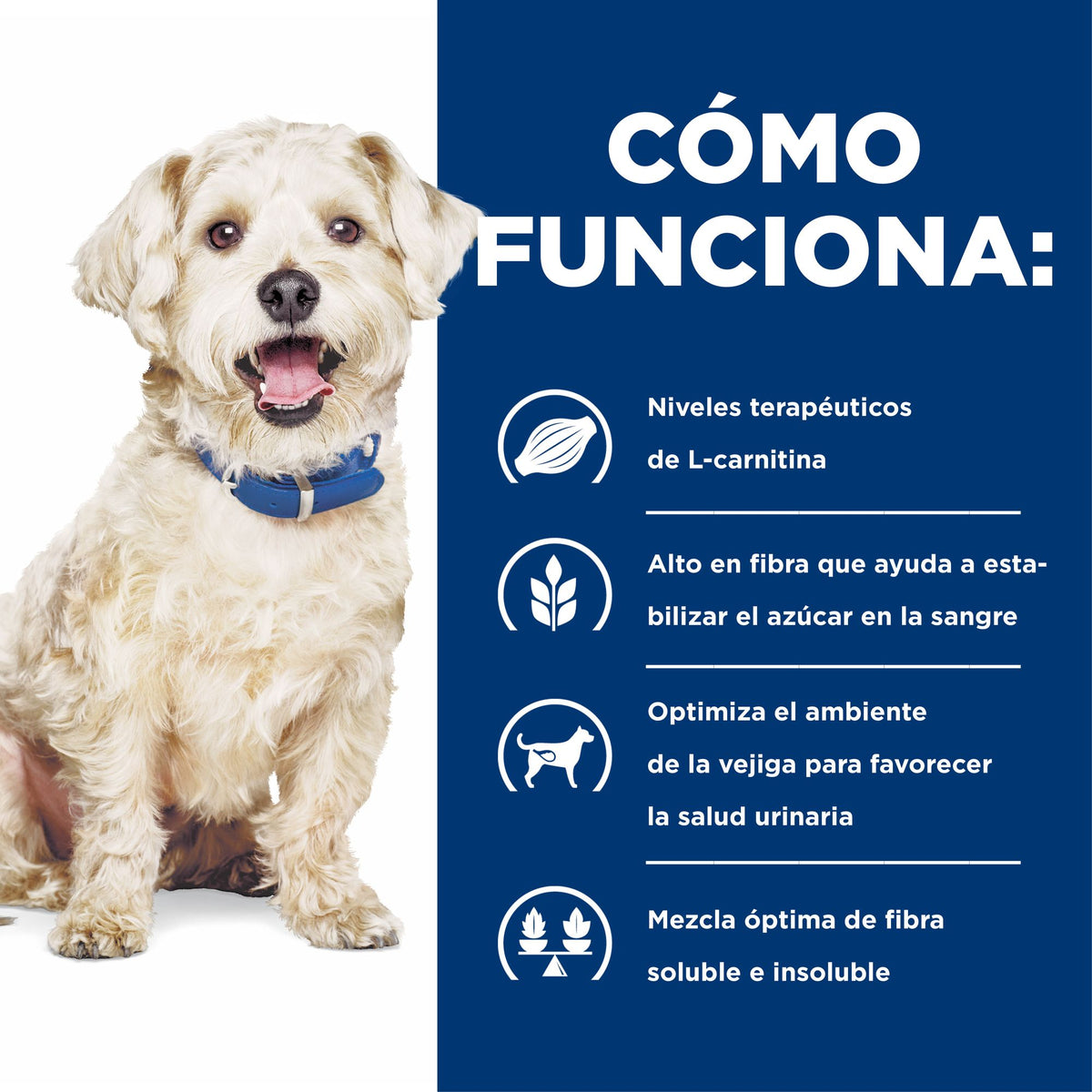 Hill's Prescription Diet w/d Multi-Benefit alimento húmedo para perros · cómo funciona