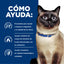 Hill's Prescription Diet z/d Food Sensitivities alimento húmedo para gatos · cómo ayuda