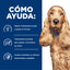 Hill's Prescription Diet z/d Food Sensitivities alimento húmedo para perros · cómo ayuda