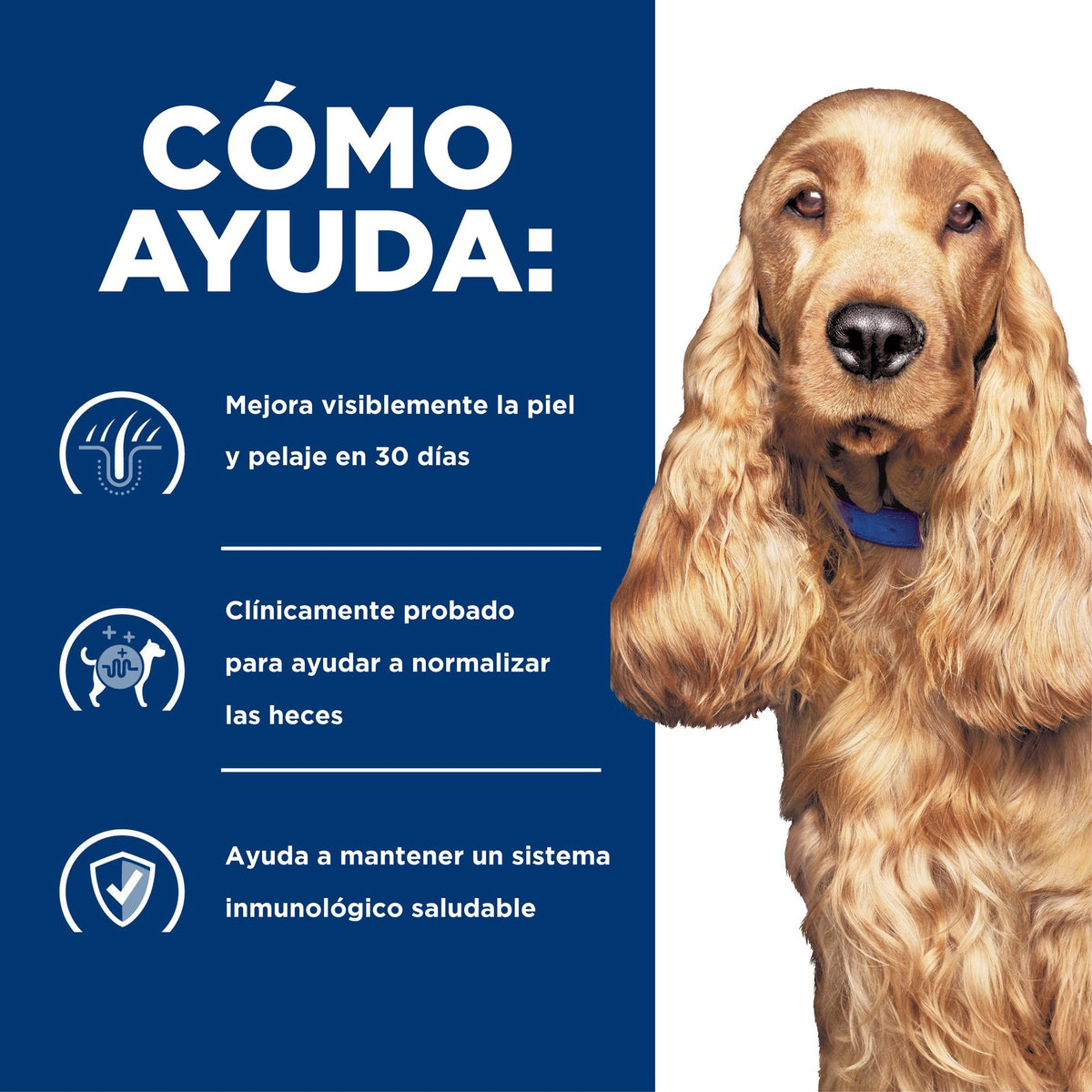 Hill's Prescription Diet z/d Food Sensitivities alimento húmedo para perros · cómo ayuda