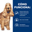 Hill's Prescription Diet z/d Food Sensitivities alimento húmedo para perros · cómo funciona