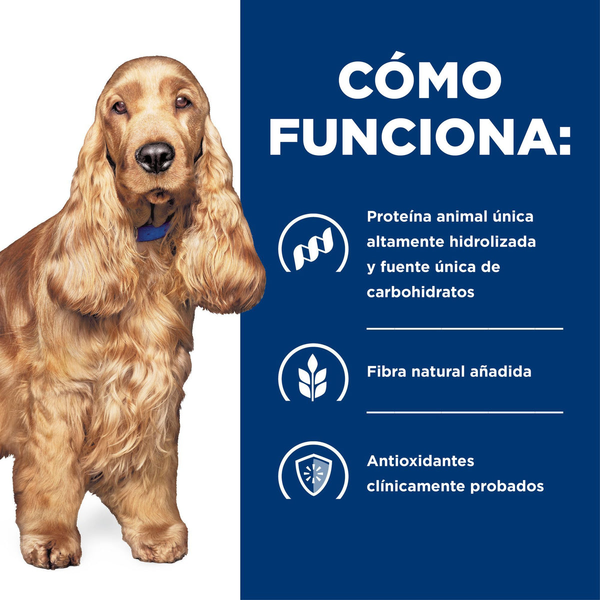 Hill's Prescription Diet z/d Food Sensitivities alimento húmedo para perros · cómo funciona