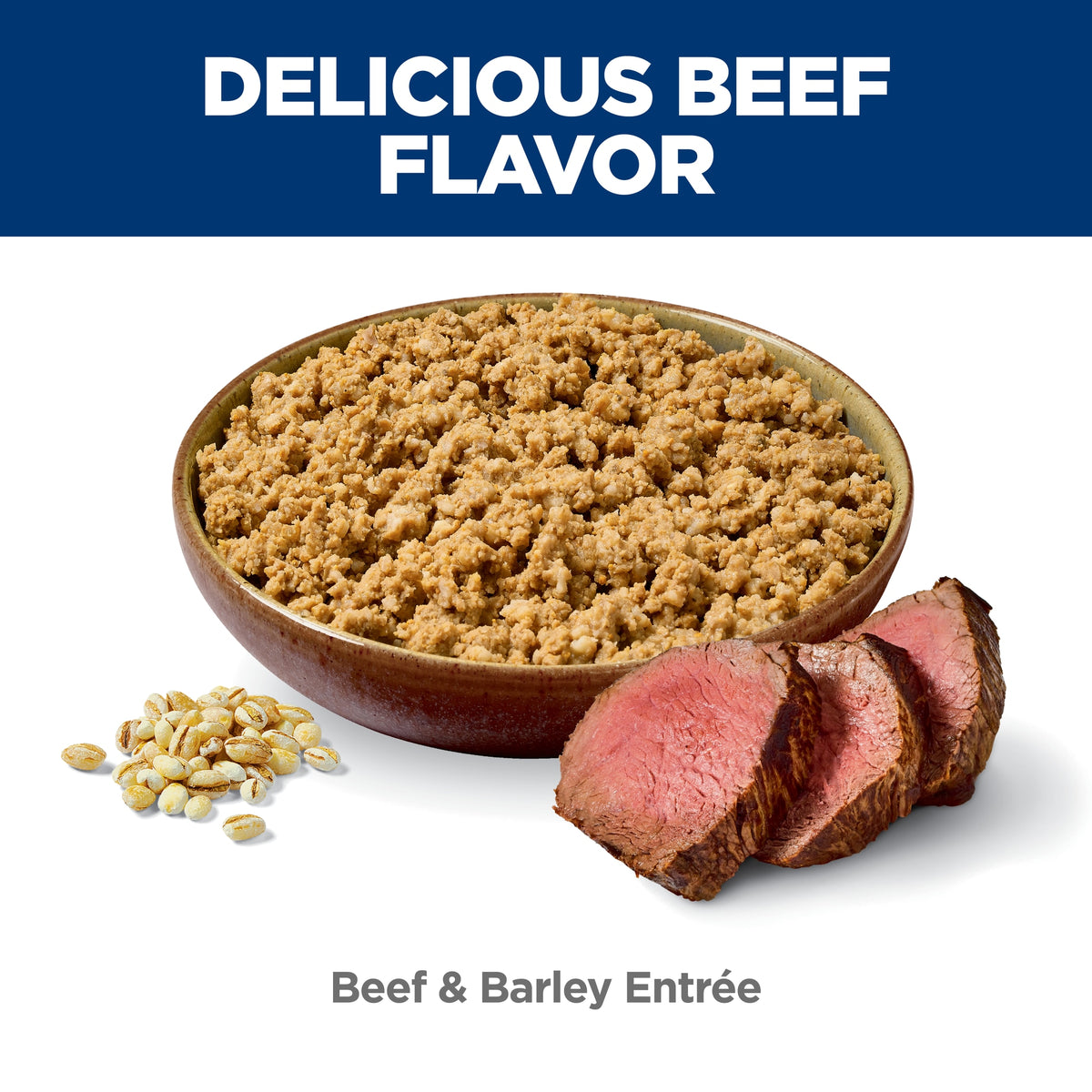 Hill's Science Diet Adult 7+ Beef & Barley Entrée, alimento húmedo para perros maduros · alimento