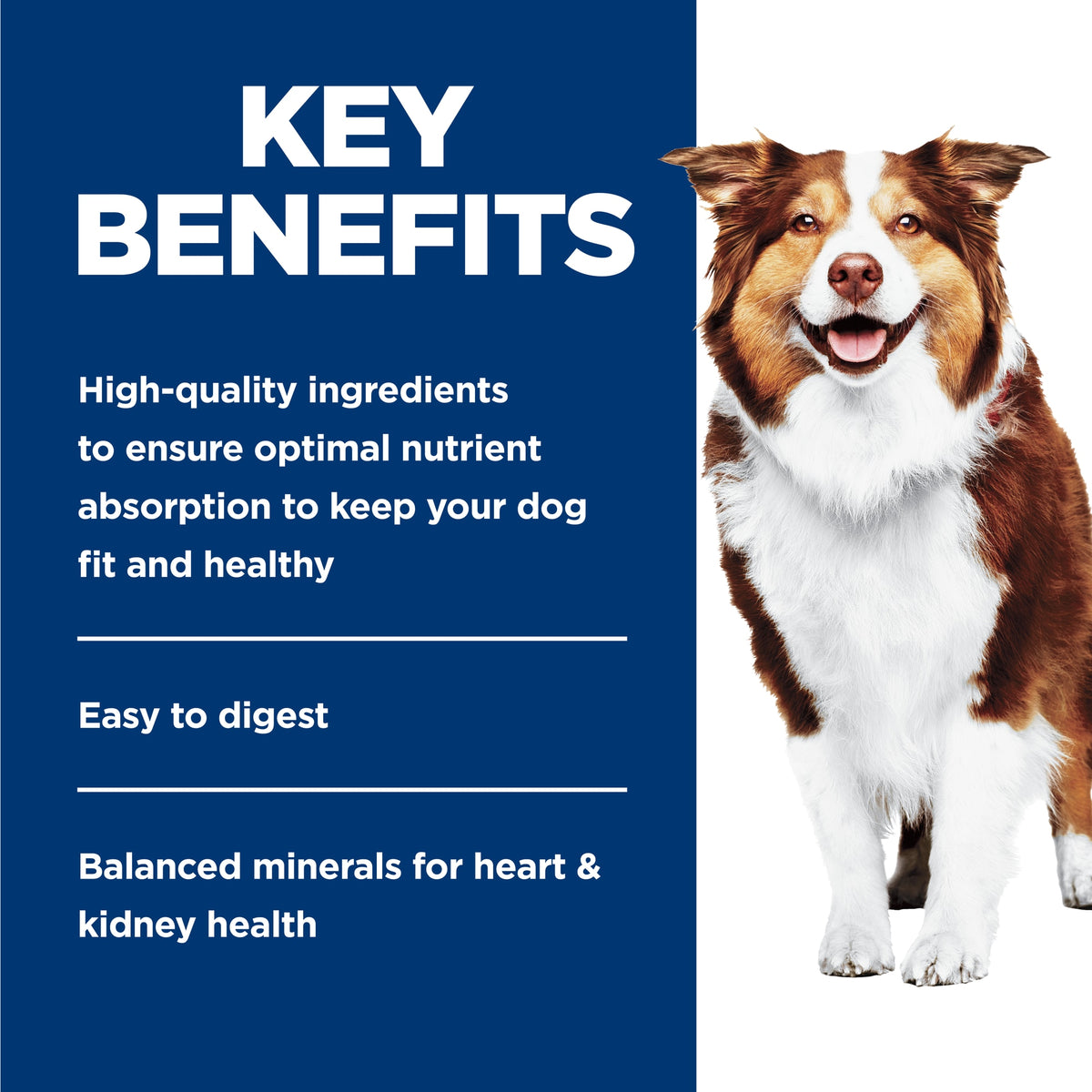 Hill's Science Diet Adult 7+ Beef & Barley Entrée, alimento húmedo para perros maduros · beneficios principales