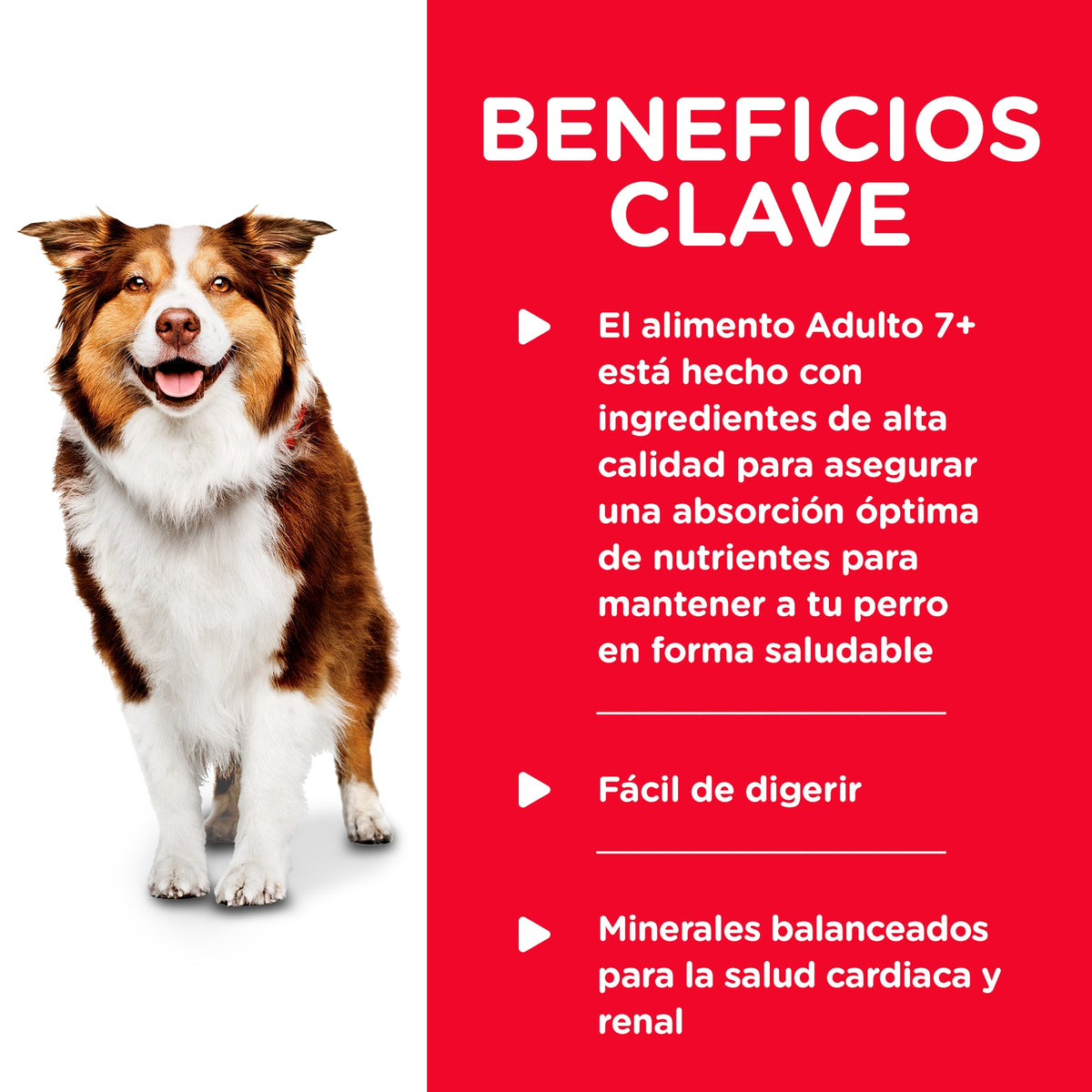 Hill's Science Diet Adult 7+ Chicken & Barley Entrée, alimento húmedo para perros maduros · beneficios principales
