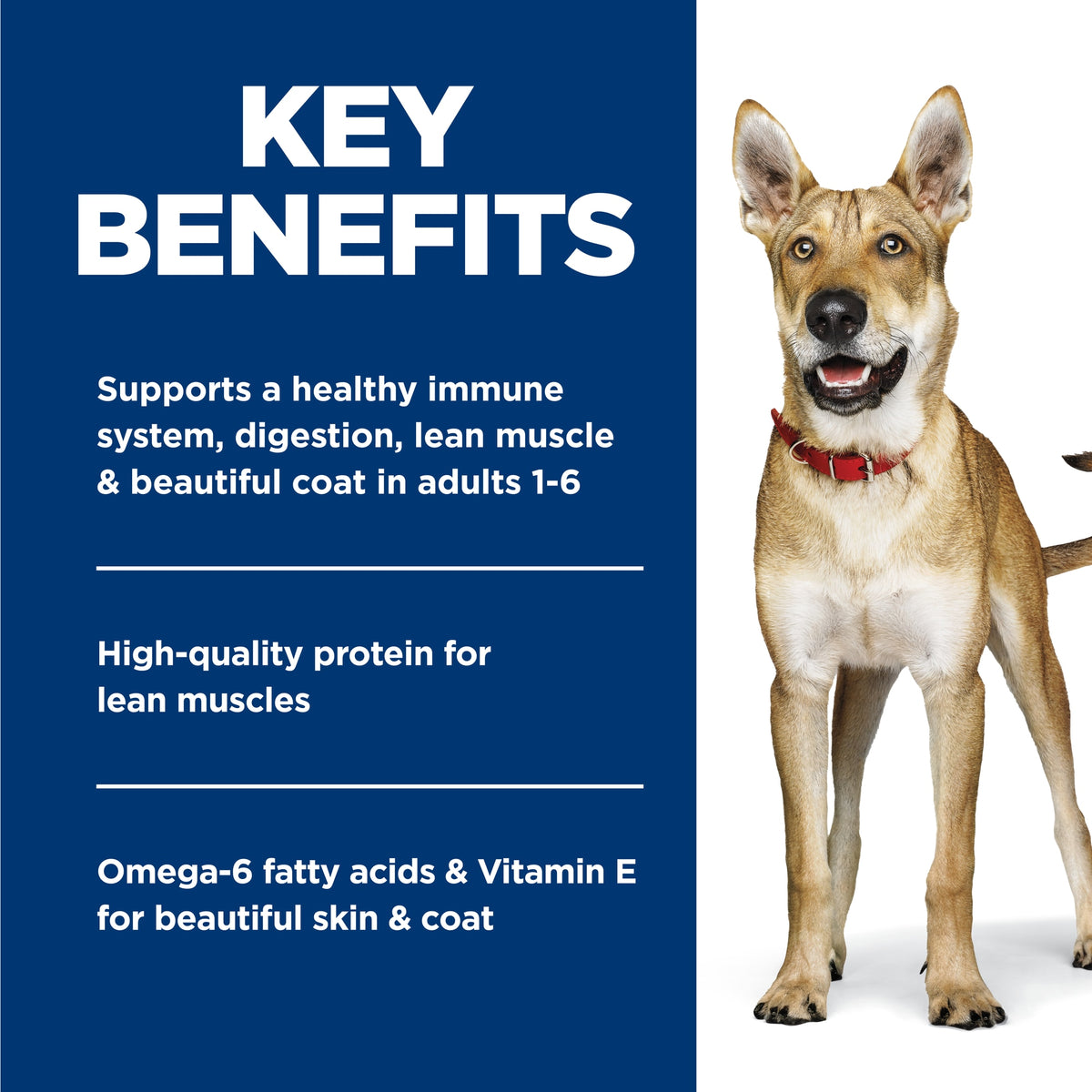 Hill's Science Diet Adult Beef & Barley Entrée, alimento húmedo para perros adultos · beneficios principales