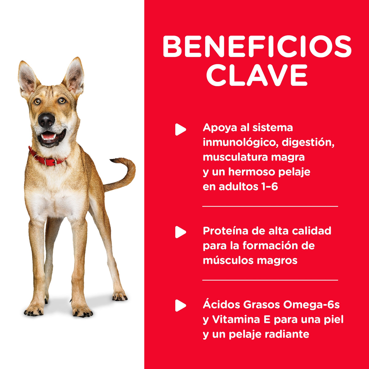 Hill's Science Diet Adult Chicken & Barley Entrée, alimento húmedo para perros adultos · beneficios principales