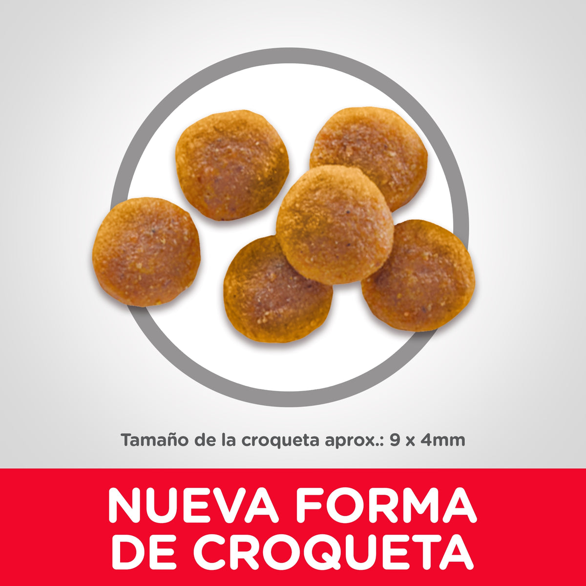 Hill's Science Diet Adult con pollo, alimento seco para gatos adultos · croquetas