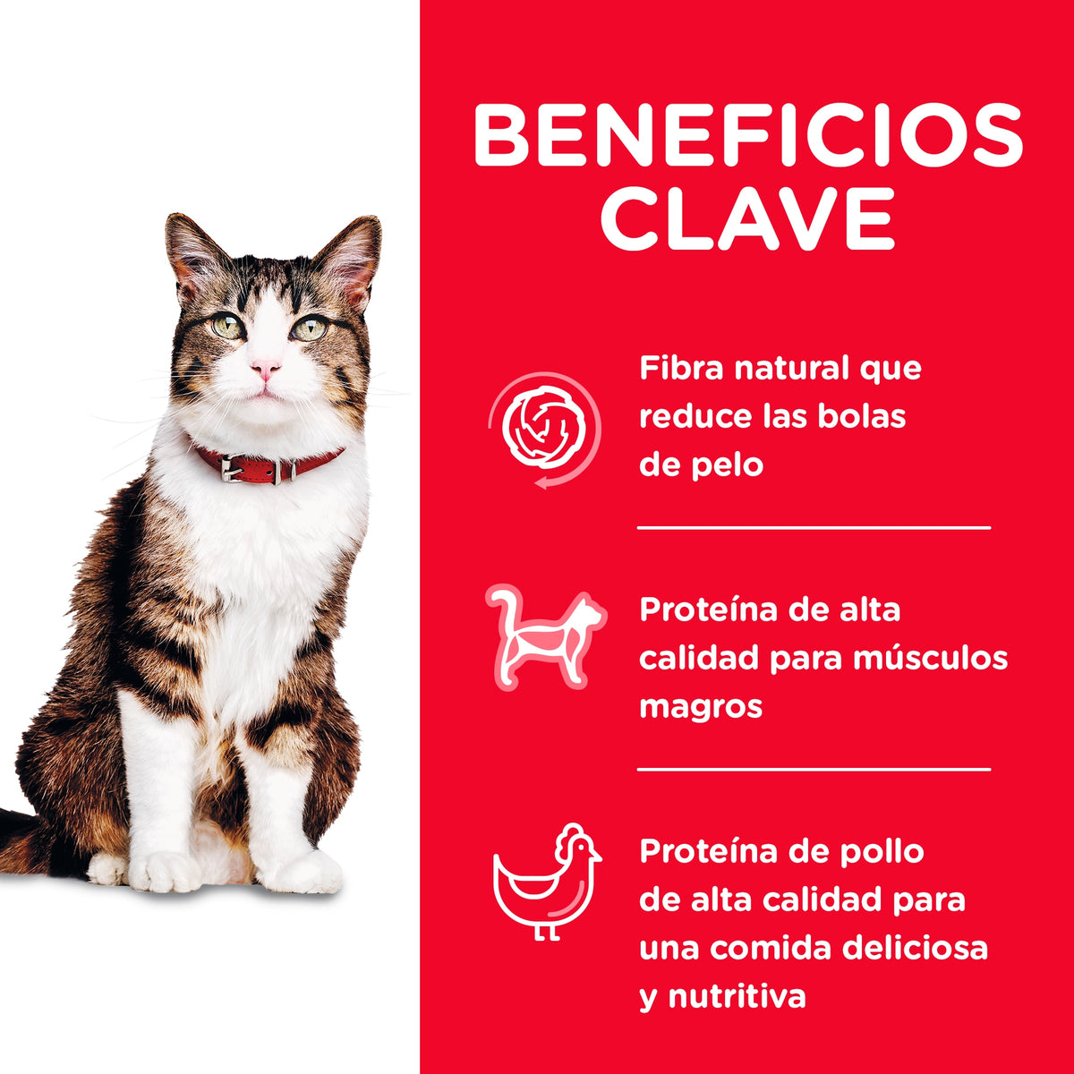 Hill's Science Diet Adult Hairball Control con pollo, alimento seco para gatos adultos · beneficios principales