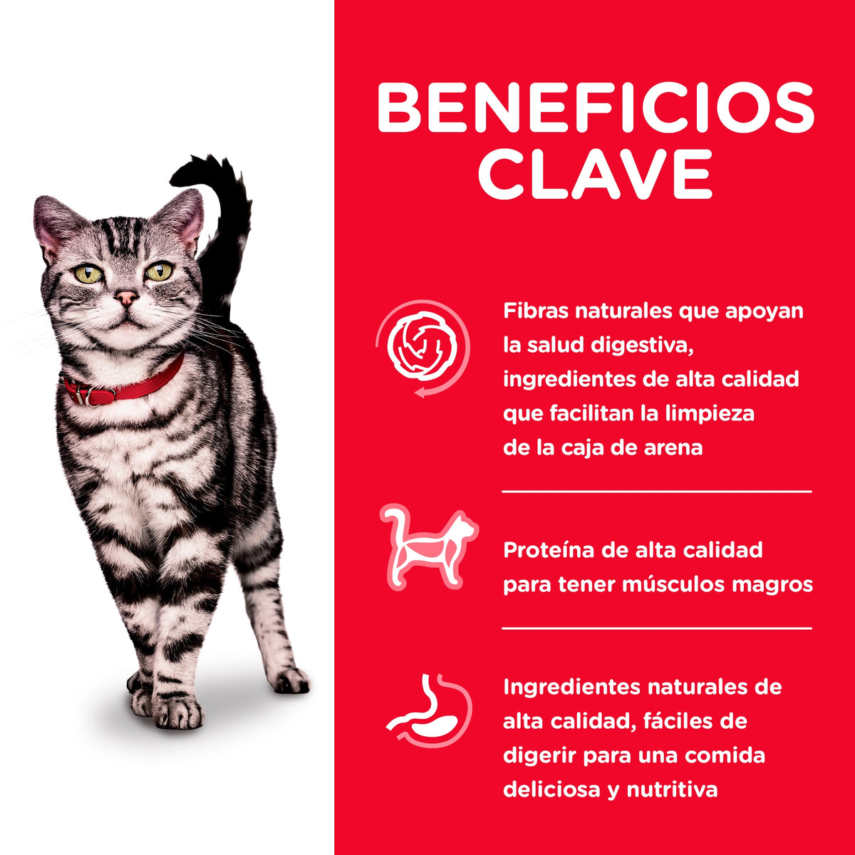 Hill's Science Diet Adult Indoor con pollo, alimento seco para gatos adultos · beneficios principales