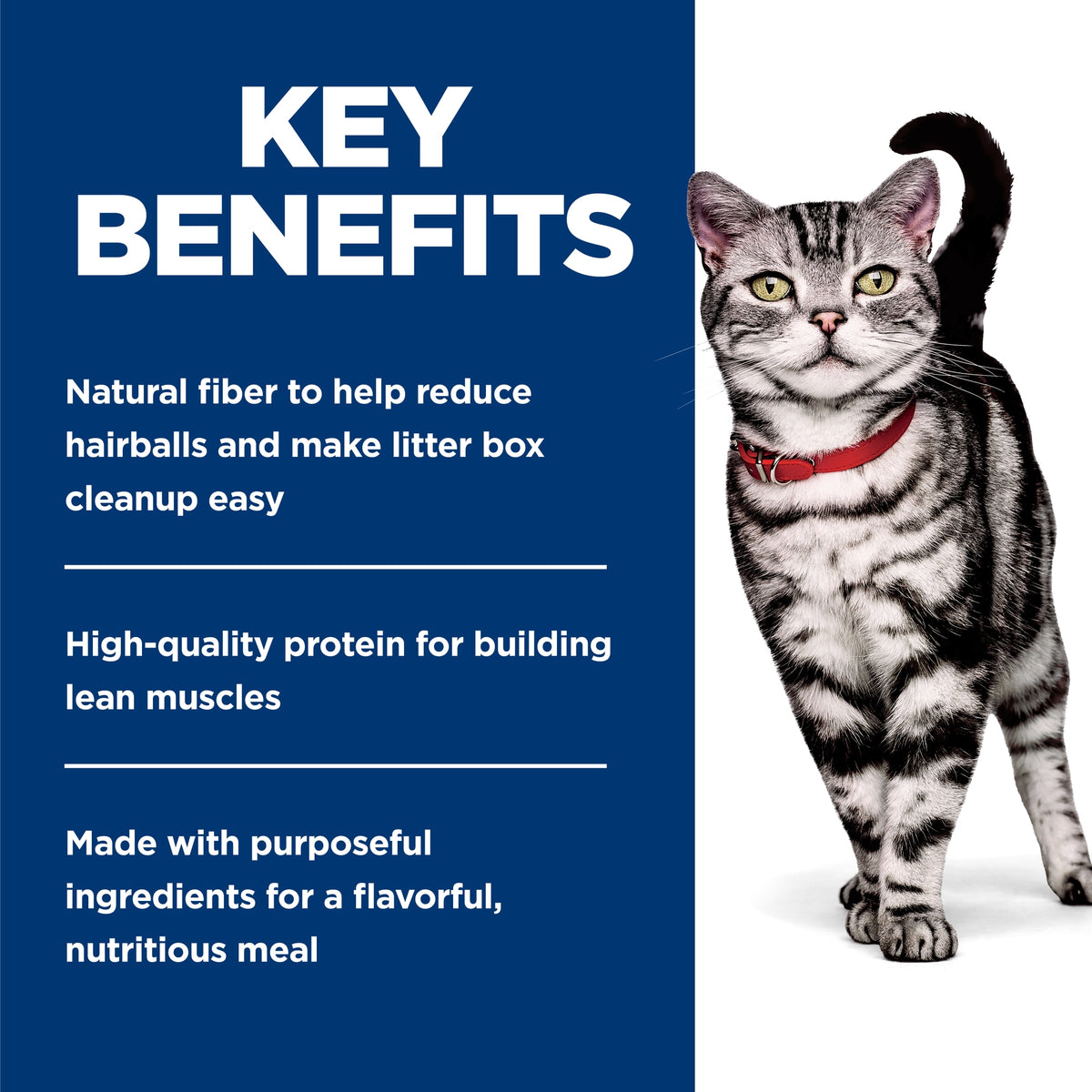 Hill's Science Diet Adult Indoor Ocean Fish Entrée, alimento húmedo para gatos adultos · beneficios principales