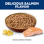 Hill's Science Diet Adult Savory Salmon Entrée, alimento húmedo para gatos adultos · alimento