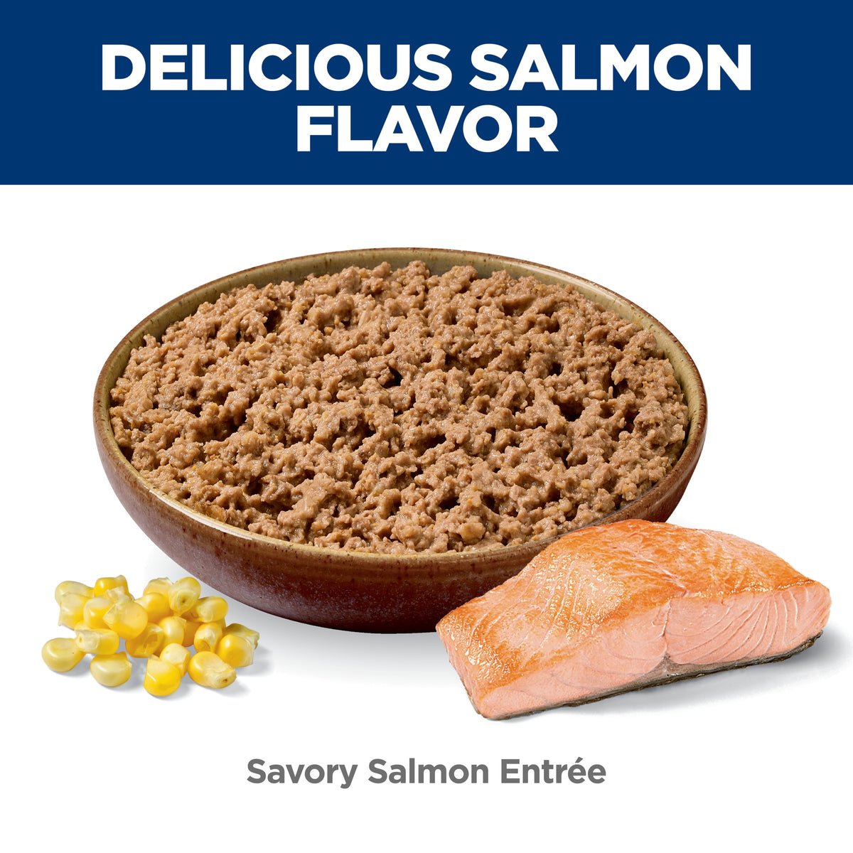 Hill's Science Diet Adult Savory Salmon Entrée, alimento húmedo para gatos adultos · alimento