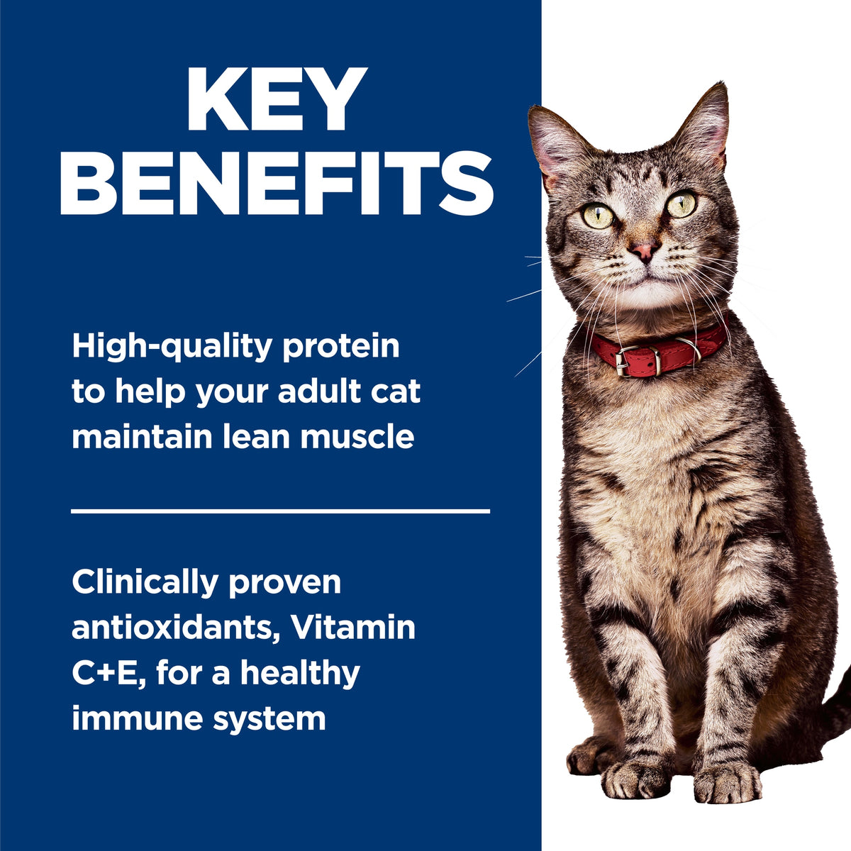 Hill's Science Diet Adult Savory Salmon Entrée, alimento húmedo para gatos adultos · beneficios principales