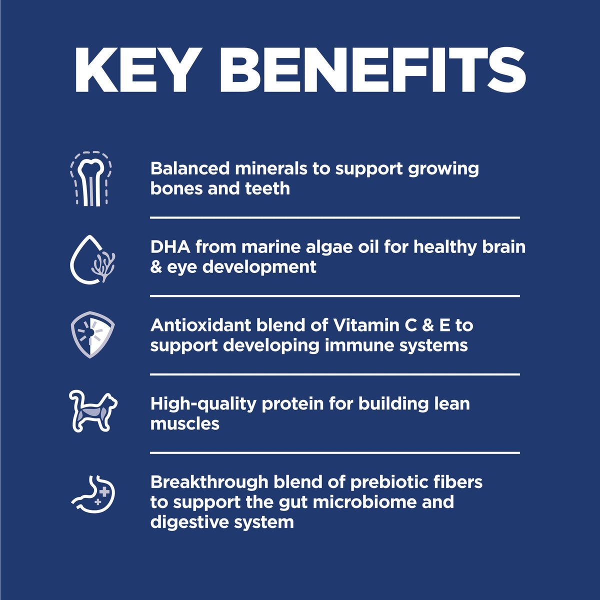 Hill's Science Diet Kitten Ocean Fish & Brown Rice Recipe, alimento seco para gatitos · beneficios principales