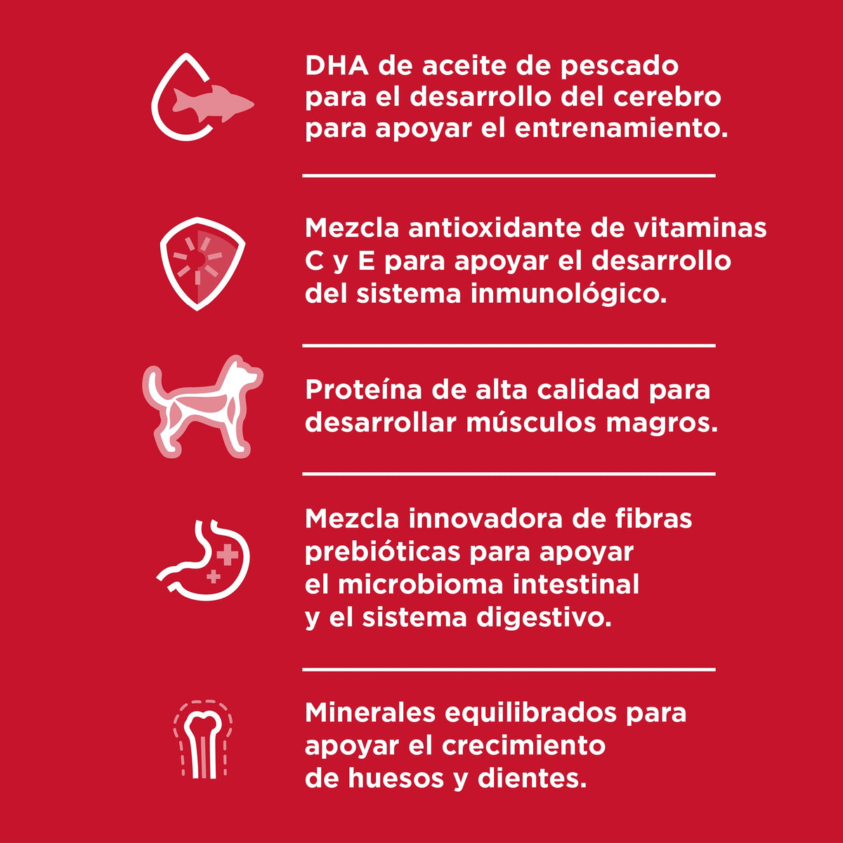 Hill's Science Diet Puppy Chicken & Barley Entrée, alimento húmedo para perros cachorros · beneficio destacado
