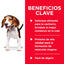 Hill's Science Diet Puppy Chicken & Barley Entrée, alimento húmedo para perros cachorros · beneficios principales