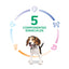 Hill's Science Diet Puppy Chicken & Barley Entrée, alimento húmedo para perros cachorros · 5 componentes esenciales